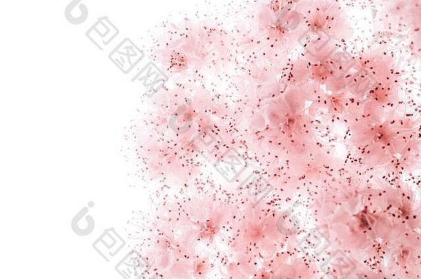 抽象花卉背景，粉色花朵，柔和色调