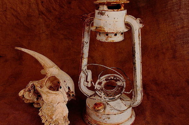 动物头骨和一个旧的金属油灯被隔离在一个清晰的背景图像上，以风景的形式呈现，并留有空间