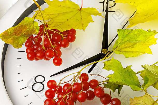 八点钟。钟面有叶子和成熟的荚果。