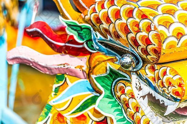 在特写镜头中，越南龙的头部色彩鲜艳。越南的主要象征之一，色彩丰富。