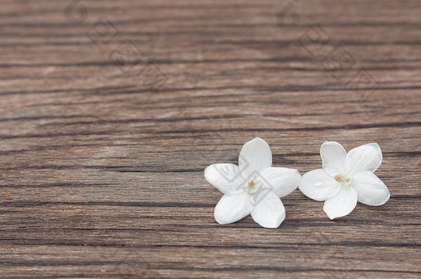 春天的花和木头是白色的。
