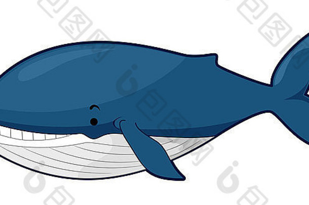 蓝鲸插图