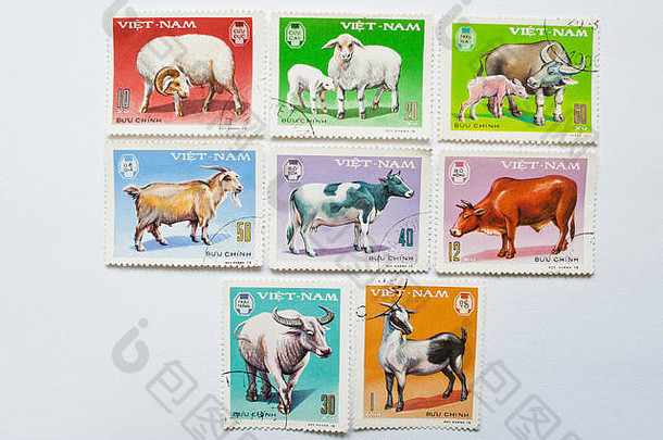 乌日哥罗德乌克兰约集合邮资邮票印刷越南显示牛牲畜约