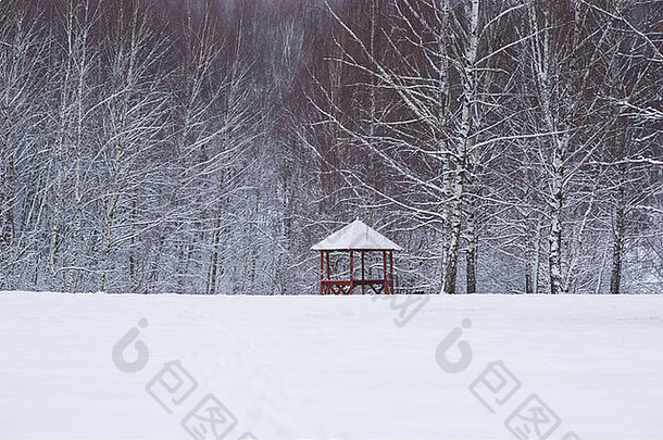 水平视图空展馆冬天公园覆盖新鲜的雪空间输入文本