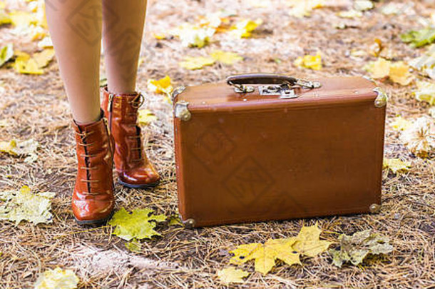 站在秋天落叶上的老式手提箱