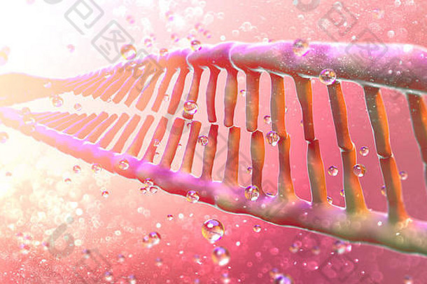 脱氧核糖核酸是一条线状的核苷酸链，携带着用于生长、发育的遗传指令。Dna螺旋