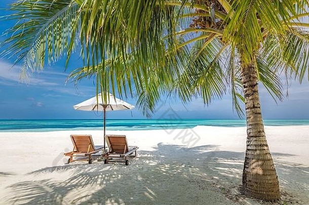情侣们的浪漫海滩蜜月目的地，海滩椅上有棕榈叶和伞，靠近蓝色的大海。令人惊叹的暑<strong>假景观</strong>