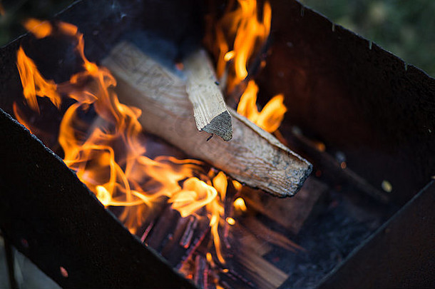 烤肉架上的火。燃烧的木头