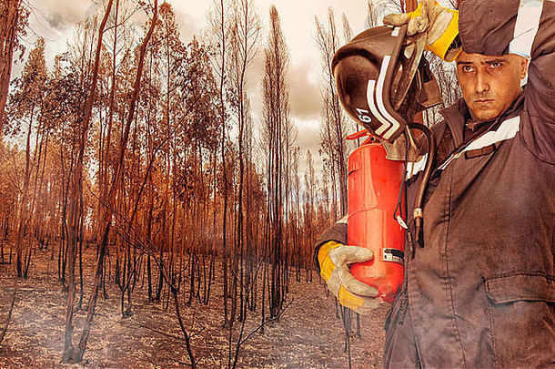 燃烧森林中的消防员