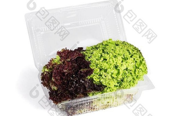 白色背景下塑料容器中的红色和绿色生菜