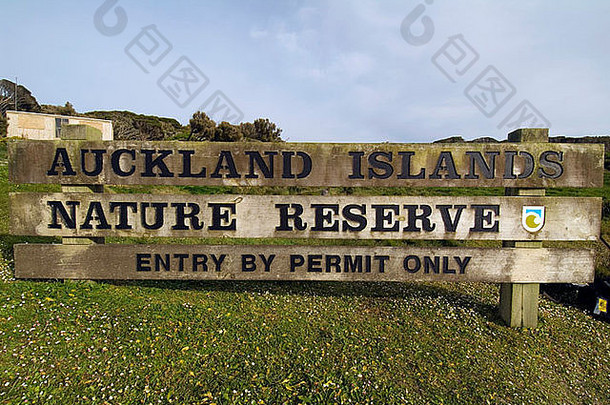 桑迪湾，奥克兰群岛的恩德比岛，新西兰亚南极群岛