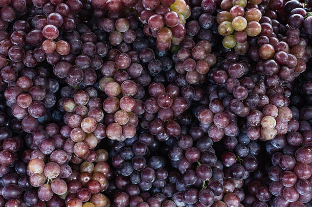 尼亚加拉葡萄，零售美味的红葡萄。