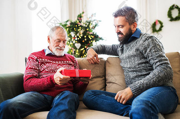 圣诞节时，一位年长<strong>的</strong>父亲和一位成年<strong>的</strong>儿子坐在沙发上，手里拿着一份礼物。