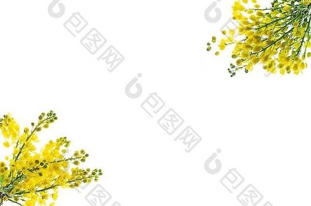 创意图案组成白色背景上的天然黄色花枝，相互隔离。当代风格。春季复活节概念。平铺，spase。闭合。
