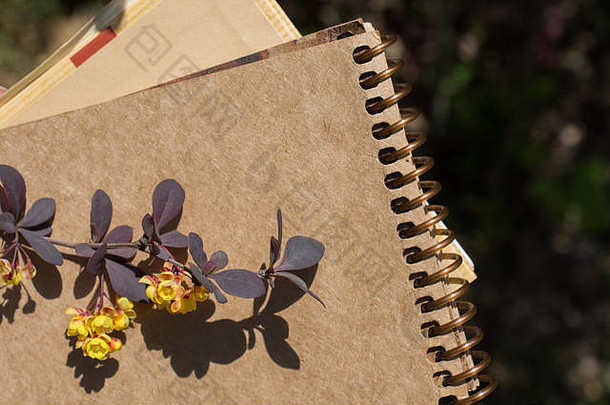 五颜六色的野花在一个螺旋形的笔记本上