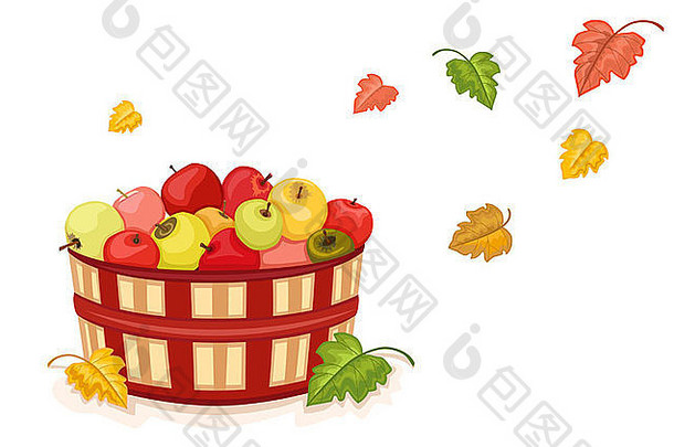 秋天收获柳条篮子填满美味的苹果孤立的白色背景