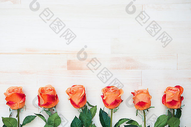 在白色复古木背景上，美丽的橙玫瑰排成一行