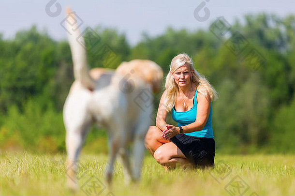 一个女人在草地上和一只拉布拉多狗玩耍
