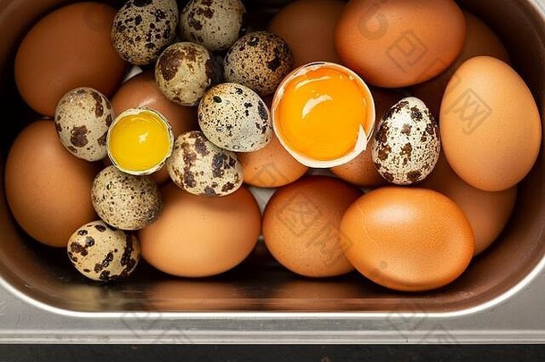 新鲜的鸡鹌鹑鸡蛋锡托盘生活视图食物<strong>摄影室</strong>内前视图
