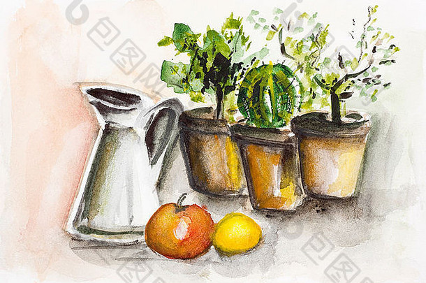 盆栽观赏植物室内植物概念。粗糙白纸上的水彩画插图