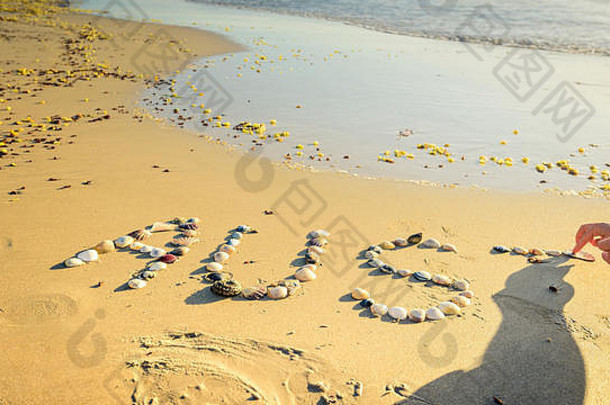 澳大利亚词画贝壳沙子海滩