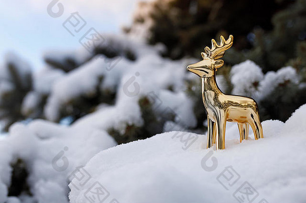 金色玩具鹿站在蓝天背景下常绿松树的雪枝上