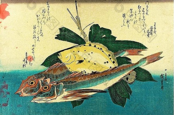 流浪汉houbouParty 々多刺的红色的鲂鱼红色的罗宾karei鲽righteye比目鱼歌川hiroshige日本木板打印系列uozukushi