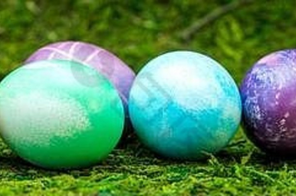 全景色彩斑斓的染色复活节鸡蛋行绿色草地莫斯