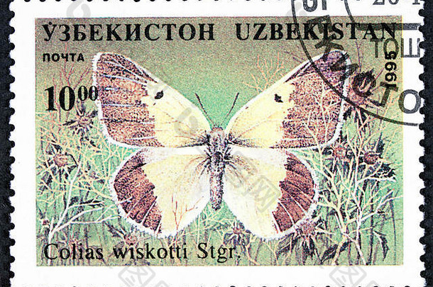 大裤子荷兰3月邮票印刷共和国乌兹别克斯坦显示蝴蝶约