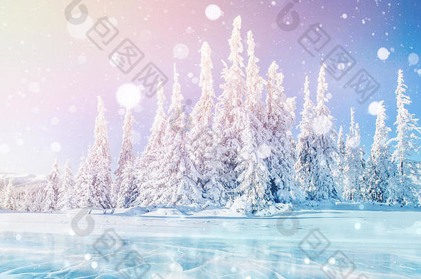 神秘的冬季风景冬天雄伟的群山。神奇的冬季白雪覆盖的树。照片贺卡。波基光效，软滤光。
