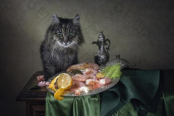 生活海鲜饿了猫