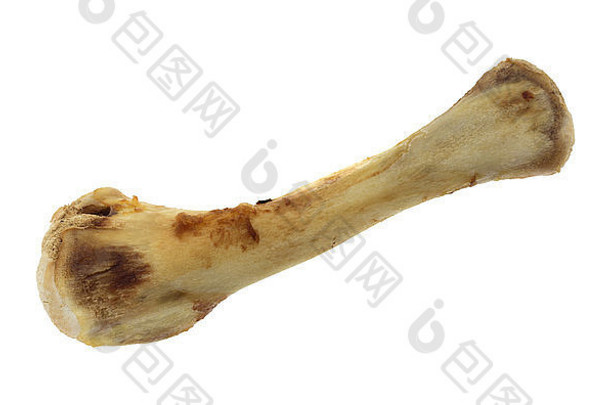 一块鸡骨头的俯视图，几乎所有的肉都是在白色背景上单独吃掉的。