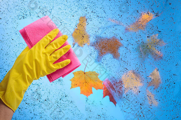 将黄色的橡胶手套和餐巾一起递上。蓝色的天空和五颜六色的枫叶在脏玻璃后面的树枝上。清洁生产线主题的概念意象