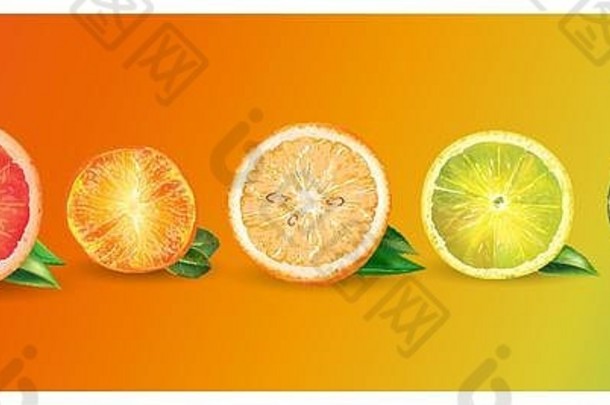 橙子、柠檬、柑橘、柑橘、葡萄柚和酸橙