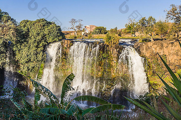 马达加斯加高地安培菲百合花瀑布