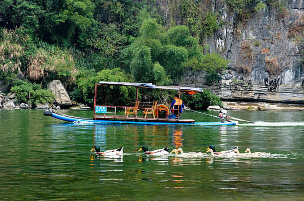 一场鸭子和当地竹子摩托艇之间的比赛，桂林，中国。
