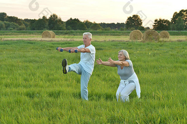 老年夫妇做运动