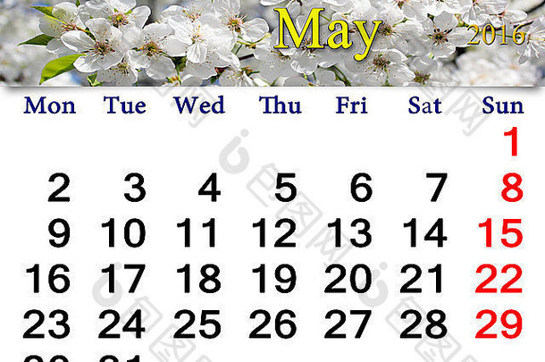 2016年5月白色盛开樱桃日历