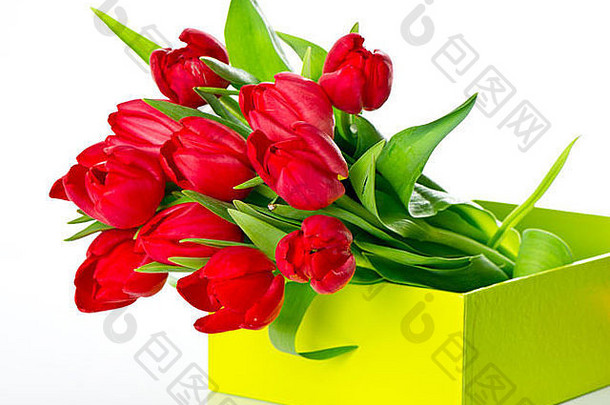 新鲜的红色的郁金香绿色礼物盒子