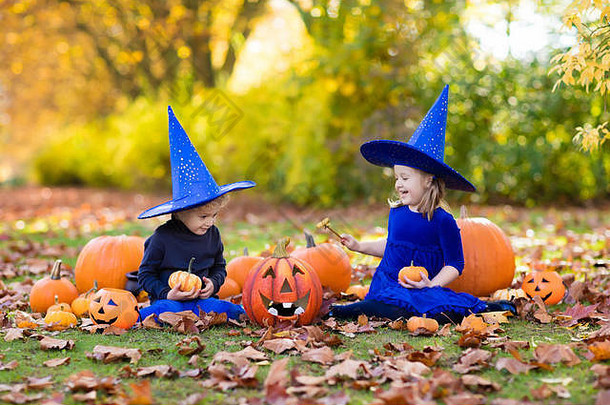 万圣节前夕，穿着蓝色女巫服装和帽子的孩子们在秋天公园里玩南瓜和蜘蛛。孩子们不给糖就捣蛋。男孩和女孩雕刻南瓜。F