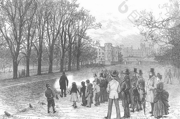 伯克斯射击礼炮，<strong>长</strong>途跋涉，温莎公园1874年。<strong>图文</strong>并茂的伦敦新闻