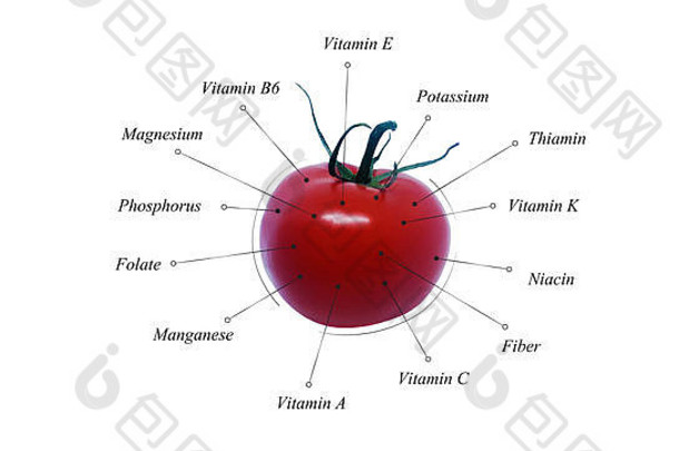 番茄营养素。蔬菜信息。插图健康饮食