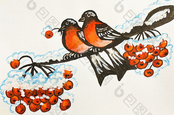 手绘插图，水粉，树枝上的两只牛雀和灰浆果。