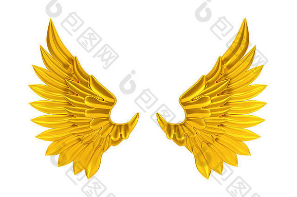 白色背景上的金色翅膀
