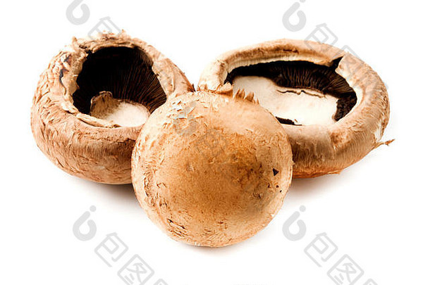 波多贝罗蘑菇白色背景