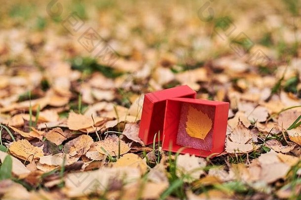 秋叶礼盒。季末概念，空间。天气预报更改符号