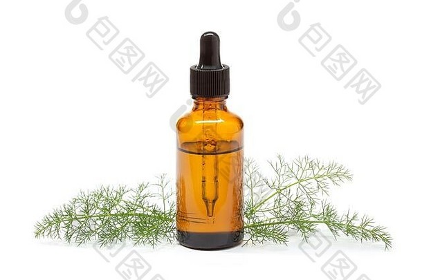 白底茴香精油。用于皮肤护理、芳香疗法和天然药物的小茴香油