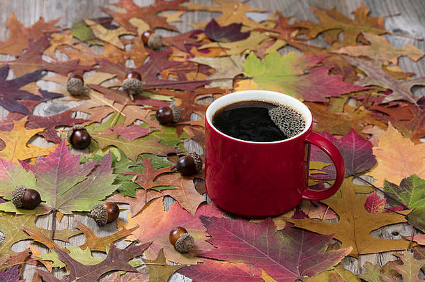 选择一大<strong>杯</strong>红色的热黑咖啡，质朴的木头上有充满活力的秋叶。