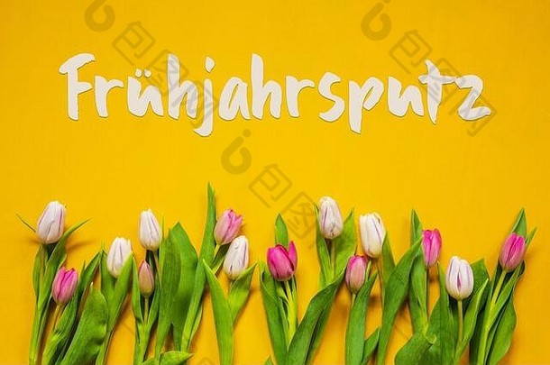 彩色郁金香，文本Fruehjahrsputz表示春季大扫除，黄色背景