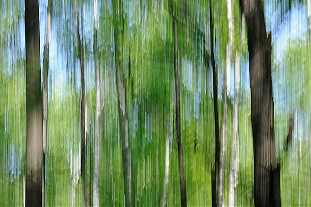 镜头有意移动的Spring森林抽象